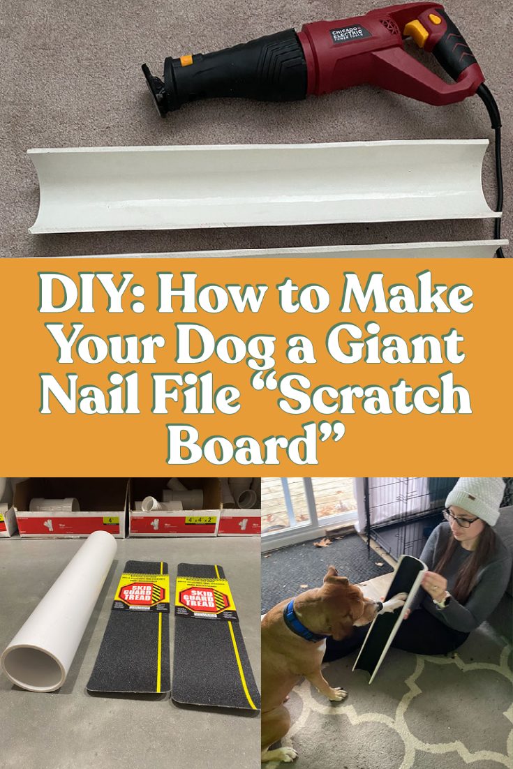 DIY How to Make Your Dog a Giant Nail File Scratch Board